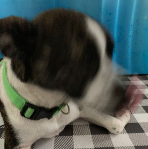 Meet your Posher, Daniela